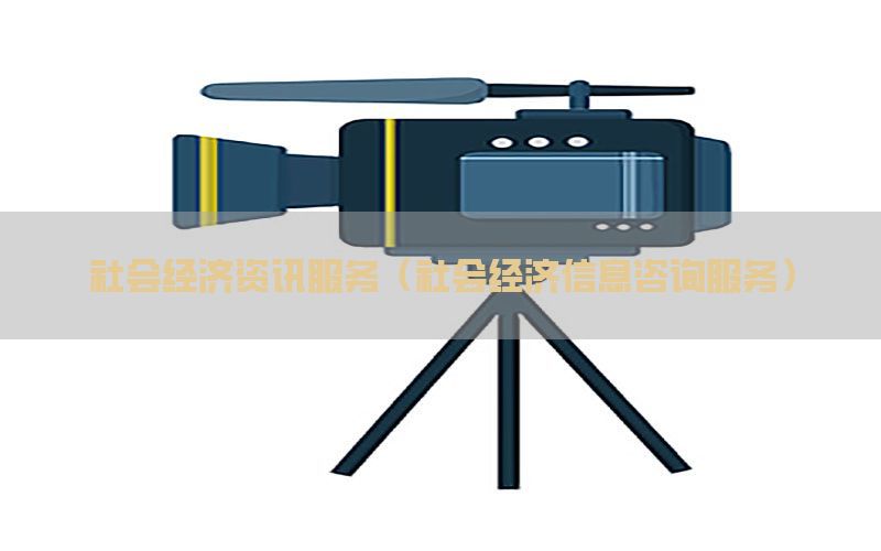 社会经济资讯服务（社会经济信息咨询服务）